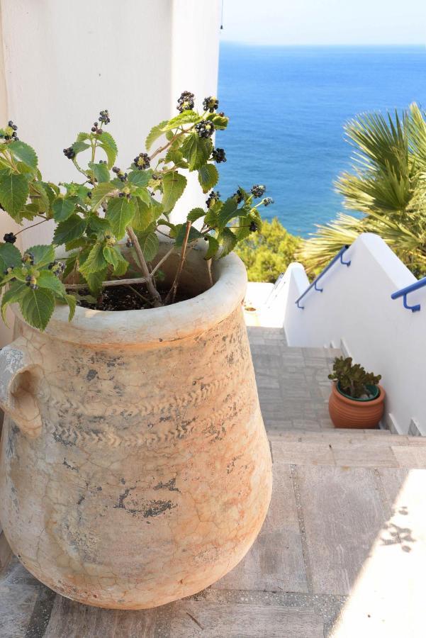 Mouselis Apartments Panormos  Εξωτερικό φωτογραφία